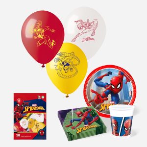 kit-party-spiderman-16-persone